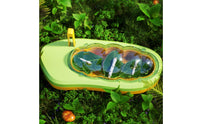 Silkworm Breeding Box Multi-Compartment Observation Box with Dome Lid Breeding Container Slim for Children