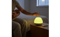 Two-colorColor Fungus Night Light Cordless Rechargeable Night Light Fungus Lamp