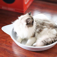 Aluminum Pet Bed Heat-Dissipating Cooling Feline Bed Rolled Rim for Small Dogs