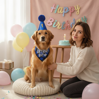 Pet Birthday Party Decoration Set with Hat, Bandana, and Numbers for Cats and Dogs