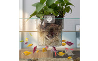 Space-Saving Wall-Mounted Aquarium Planter High Clarity Hanging Aquatic Aquarium Plant Cup Thickened Material Aquascape Decoration Adjustable Screw Mount for Aquascapers