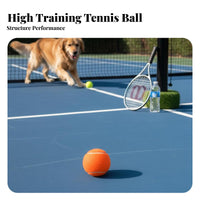 Macaron Colors Colored Tennis Ball Long-Lasting High Rebound Training Ball Multi-Use for Dog Owners, Beginners, Outdoor, Backyard, Park