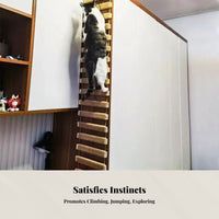 Cat Rope Ladder, Bridge Ladder, Multi-Use Suspended Scratcher for Cat Enclosure, Shelf Connector