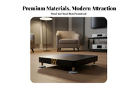 Non-Slip Floor Speaker Spike Base Adjustable Shock Absorption Speaker Base Heavy Duty Subwoofer Isolation Stand High Load Capacity 150kg for Audiophiles, High-Fidelity Enthusiasts, Home Theater, Listening Room, Recording Studio