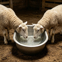 Automatic Livestock Drinker Bowl Easy Installation Stainless Steel Livestock Trough Heavy Duty Animal Feeder for Farm, Barn