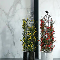 European Design Potted Plant Climbing Frame Weather Resistant Garden Obelisk Trellis Heavy Duty Flowering Vine Structure Enclosure Rustproof for Gardeners, Balcony, Patio