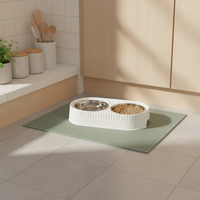 Elevated Stainless Steel Double Pet Bowl for Food and Water, Anti-Tip Design, Neck Protection for Cats and Dogs
