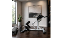 Roman Chair Adjustable Support Hyperextension Station Side Handle Back Extension Bench Multipurpose Workout Equipment