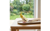 Molded Cockatiel Figurine Wildlife-Inspired Cockatiel Model Lightweight Parrot Figurine Miniature for Collectors, Hobbyists, Diorama, Desk Decoration, Shelf Display