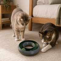 Cat Toy with Ball Track Independent Cat Circular Toy Indoor Compact for Cats, Floor, Apartment