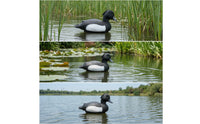 Realistic Pond Ornament Lifelike Garden Decoy Textured Mallard Decoy Outdoor for Hunters, Gardeners, Backyard