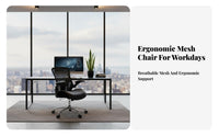 Lumbar Support Ergonomic Chair with Headrest 360° rotate Highspine Reclining Chair for People Working from Home, managerials, Remote Workers, Study Room