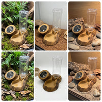 Reptile Feeding Dish with Water Bottle Wood-Look Pet Supply Stable for Vivarium