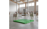 Easy to Clean Sheep Slatted Floor Reinforced Structure Plastic Goat Flooring Panel Anti-Slip Surface Interlocking Livestock Floor Tile for Farmers