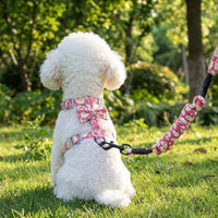 Cat Vest Harness and Leash Set, Adjustable Nylon Cat Walking Harness, No Pull Training Lead for Outdoor Travel