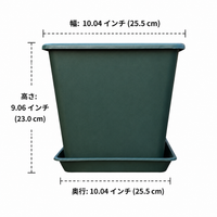 Planter for Home Gardening, Large Square with Saucer, Lightweight Plastic, Drainage Holes, Pot for Houseplants, Office & Balcony Gardening