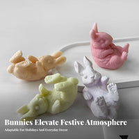 Bunny Plaster Ornament Cast Easter Bunny Cast Reusable for DIY Enthusiasts, Parents, Home Decoration, Gift Making