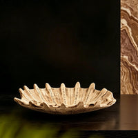 Decorative Shell-Shaped Fruit Tray Unique Design Fruit Tray Multi-Use Home Decor