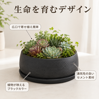 planter pots