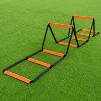 agility ladder