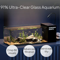 Desktop Clear Glass Aquarium with Automatic Circulation