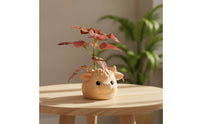 Highland Cow Planter Decorative Animal Flower Pot Small for Bookshelf, Office