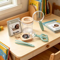 Wooden Observation Kit Mesh Bug Catcher Kit Hands-on Learning Nature Exploration Set Handheld for Children