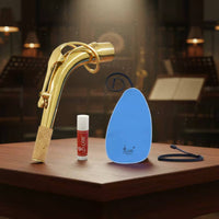 Includes Cork Grease Alto Sax Neck Gold Coating Finish Brass Sax Neck Sturdy Construction E Flat Alto Saxophone for Maintenance, Practice