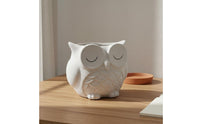 Cute Ceramic Owl Planter Easy to Clean Home Decor Multi Purpose for Desktop