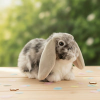 Stuffed Bunny with Long Floppy Ears Soft Stuffed Bunny Compact