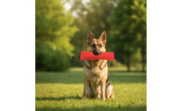 Padded Dog Tug Toy with Handles Textured Bite Pillow with Handles Safe Training Tug Hardwearing for Young Dogs