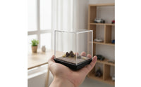 Diorama Base with Acrylic Cover Realistic Model Display Case with Terrain Transparent Miniature Scene Display for Home Decor