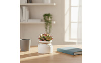 Tabletop Planter Lightweight Small Plant Pot Minimalist Aesthetic for Office