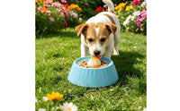 Slow Feeder Bowl Wide Slow Feeder Dog Bowl Interactive for Fast Eaters, Cats, Indoor, Outdoor