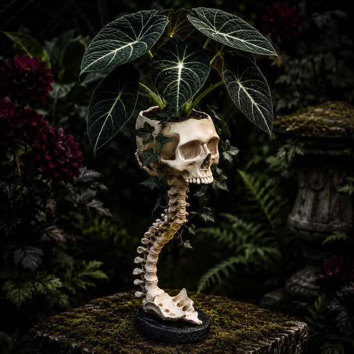 Skeleton Skull Planter Resin Craft Ornament