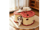 Interactive Cat Tunnel House Playful Cat Tunnel with Openings Enclosed Pet Furniture Cozy for Cats