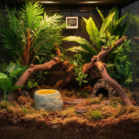 Snake Soaking Tub Naturalistic Design Reptile Water Bowl Resin Rock Water Bowl Easy to Clean Terrarium Accessory for Vivariums