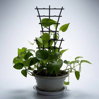 Garden Trellis for Climbing Plants and Outdoor Plants, 24 Pack of Plastic Plant Support for Potted Plants, Stackable Trellis for Indoor Plants