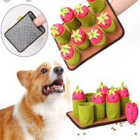 Mental Stimulation Strawberry Snuffle Mat Easy to Clean Strawberry Sniffing Mat Bite-resistantResistant Interactive Treat Brain-Teaser Toy Squeaky