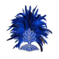 Feather Headpiece Glittery Feather Headband Sparkling Hair Accessory for Entertainers, Partygoers, Dance Performances