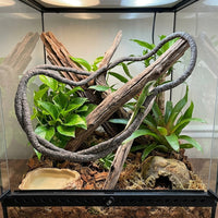 Snake Accessories for Vivarium, Humidity Resistant Vine, Sagging Resistant Bark-Textured Soft Artificial Branch for Climbing Reptiles, 1m