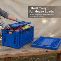 Foldable Storage Crate with Lid, Rectangular Plastic Container for Outdoor, Supermarket, Logistics