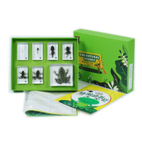 Nature Sample Kit Hands on Educational Sample Kit Labeled Specimens for Students, Classroom