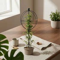 Spherical Trellis Easy to Assemble Globe Trellis Decorative Plant Support