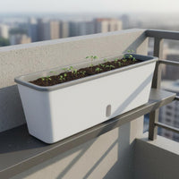 Water Inlet Narrow Balcony Planter Two-in-One-Use Design Self-Watering Planter Long-Lasting Plastic Herb Garden Box Weather Resistant for Beginners, Windowsill, Kitchen