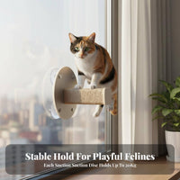 Drillnon-Drill Installation Suction Cup Window Perch Transparent Capsule Bed Suction Cup Window Shelf Space-Saving Feline Furniture Supports Large Felines for Apartment Dwellers, Indoors, Glass Panels, Glass Surfaces, Sunbathing