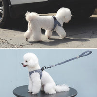 Dog Harness and Dog Leash Set, Adjustable Reflective Vest for Cat Harness and Small Dog Leash, No Pull Puppy Leash for Training and Dog Walking
