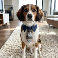 Plaid Pet Bandana with Bow Tie, combined Dog Bandana and Cat Bandana for Large Dogs, Tie Adjustable Dog Gift with One-Piece Design