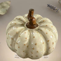 Light-Toned Ceramic Pumpkin Ornament Brown Stem Ceramic Pumpkin Figurine Smooth Finish Home decorations