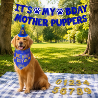 Dog Birthday Costume Banner, Cone Hat, Triangle Bandana Set, Pet's Special Day Celebration